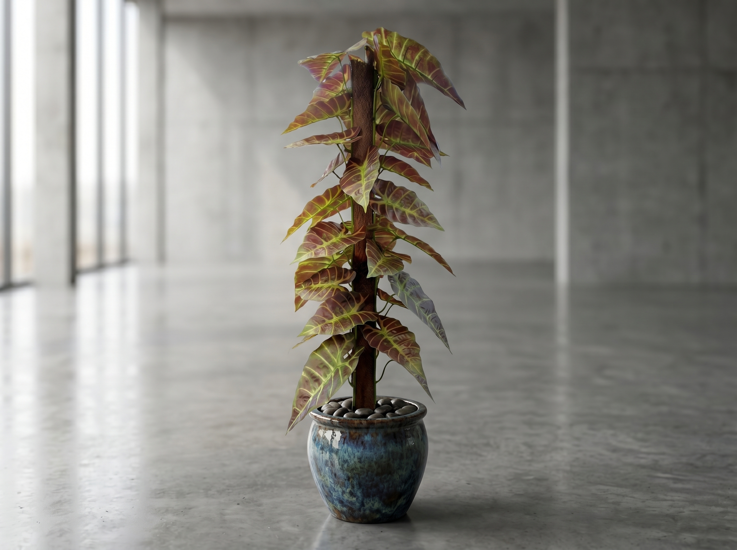 Alocasia Prydnadsväxt