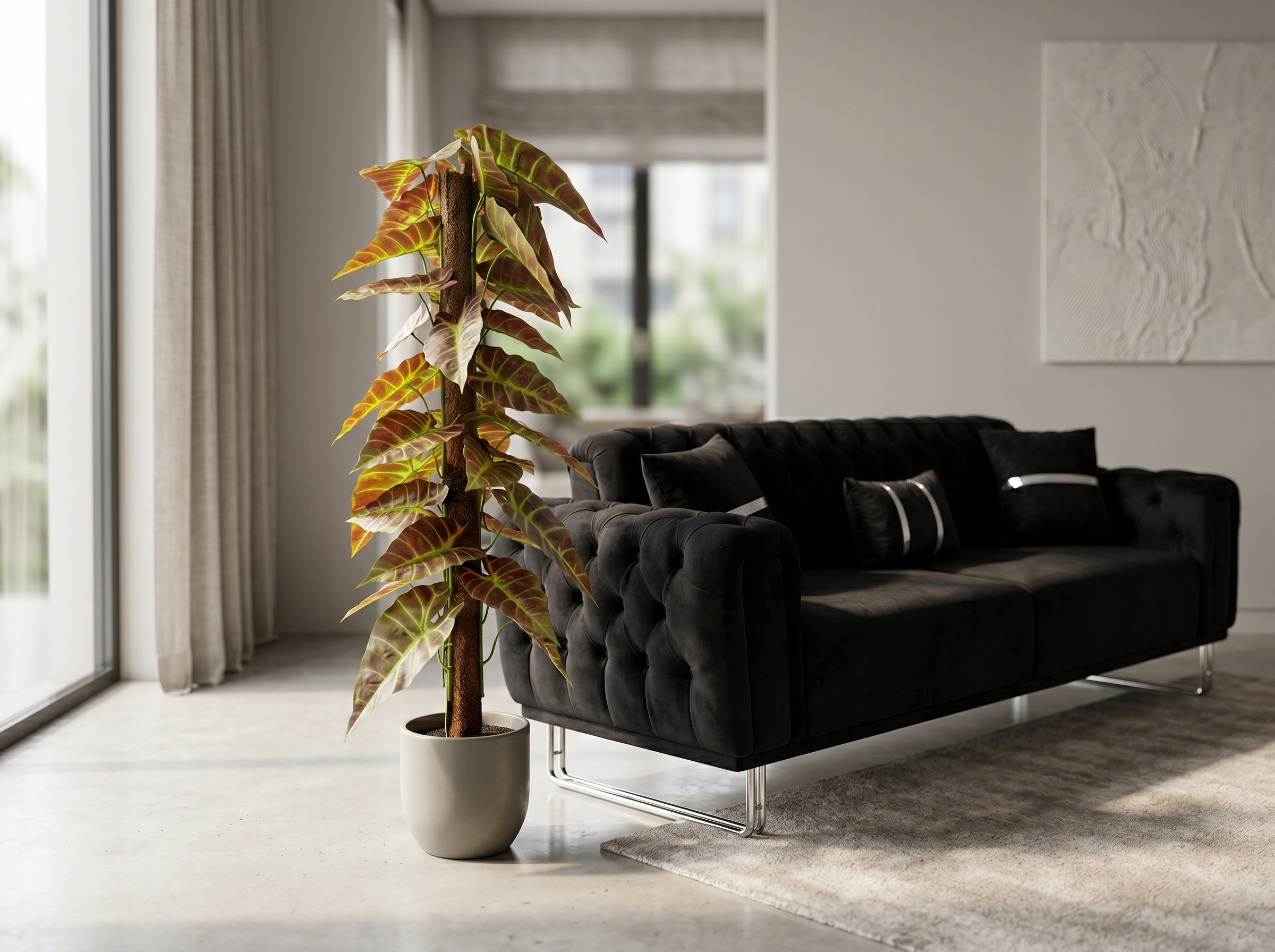 Alocasia Prydnadsväxt - Image 3
